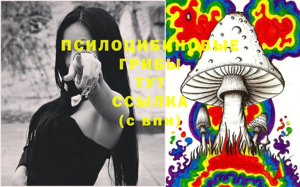 стаф Шарыпово