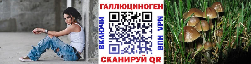 Галлюциногенные грибы мицелий  наркотики  Миньяр 